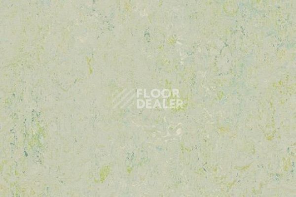 Линолеум Marmoleum Decibel on Order 343035 salsa verde фото 1 | FLOORDEALER